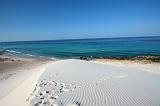 IMG_4752 Dilisha, Socotra